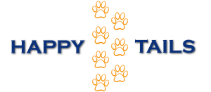 Happy-Tails- The best building activities for teams