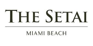 the setei logo
