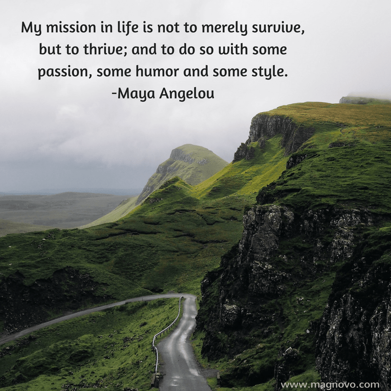My mission in life is not to merely survive, but to thrive; and to do so with some passion, some humor and some style. - Maya Angelou