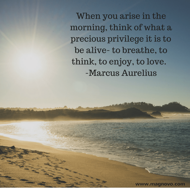 When you arise in the morning, think of what a precious privilege it is to be alive-to breathe, to think, to enjoy, to love. - Marcus Aurelius