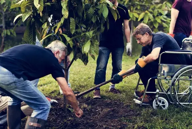 wheelchair empowerment charitable team building disability inclusion